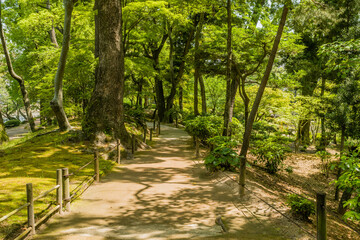 Concrete walking trail through Japanese nature park.