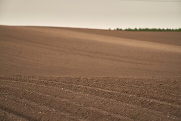 Land on the field for planting. Beautiful plowed field and cloudy sky scene