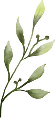 Watercolor Green Leaves Element
