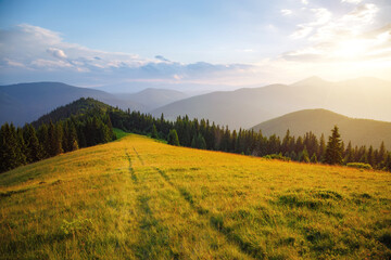 Fototapeta na wymiar A gorgeous view of forested slopes and distant mountain ranges. Carpathian mountains, Ukraine.