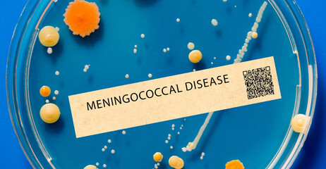 Meningococcal disease - Bacterial infection that can cause meningitis and sepsis.