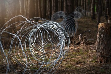 .Border wire fence trough pine forest. protecting the state's border from illegal migration and russian invasion. defending and regaining occupied territory . - 614355893