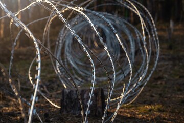 .Border wire fence trough pine forest. protecting the state's border from illegal migration and russian invasion. defending and regaining occupied territory . - 614356019
