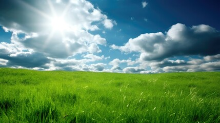A meadow with a beautiful view of clouds and sky