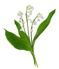 Lily of the valley flowers in a small spring bouquet isolated on white or transparent background - obrazy, fototapety, plakaty
