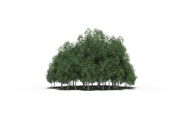 group of trees with a shadow on the ground, isolated on a transparent background, trees in the forest, 3D illustration, cg render