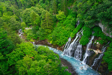 Fototapeta na wymiar 北海道の美瑛にある白ひげの滝