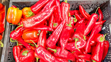 fresh red hot pepper on the counter