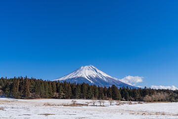 富士山と雪原