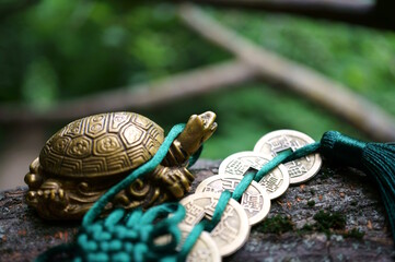 Chinese coins and a turtle close-up. Talismans and amulets. Feng shui symbols. Well-being and...