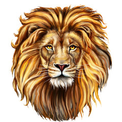 head of lion