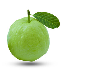 Guava on white isolated use for exotic fruits and vegetable background