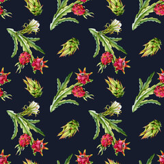 Naklejka na ściany i meble Dark watercolor pitaya cactus branches with red dragon fruits and flowers seamless pattern on blue background. Realistic botanical drawing of exotic growing tropical plants
