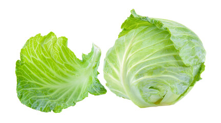 cabbage leaf on transparent png - 614369645