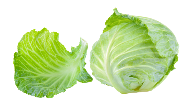 cabbage leaf on transparent png