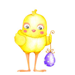 A cute yellow chick is holding a purple egg with white polka dots. Easter watercolor illustration in cartoon style isolated on a transparent background, hand drawn.