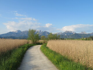 Bergblicke im Allgäu