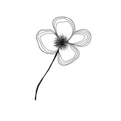 white flower on a white background