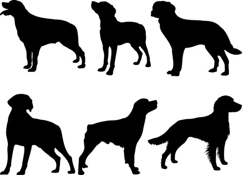 Set of Brittany Dogs Silhouette