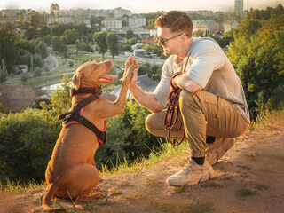 Charming dog and attractive man on a walk. Closeup, outdoor. Day light. Concept of care, education,...