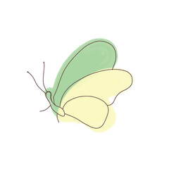 green yellow butterfly on white background