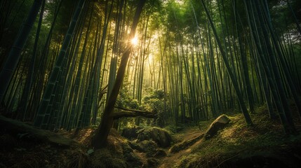 A zen bamboo forest, the towering green stalks creating a calming canopy overhead, with sunlight filtering through . Generative AI