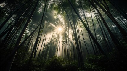 A zen bamboo forest, the towering green stalks creating a calming canopy overhead, with sunlight filtering through . Generative AI