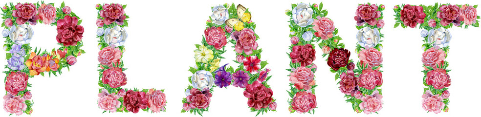 Word PLANT of watercolor flowers for decoration