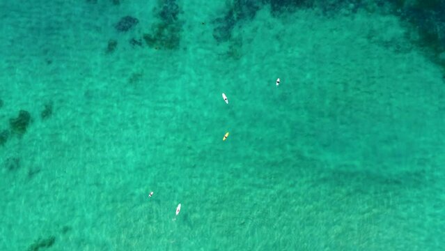 Drone aerial landscape shot of surfers in line-up waiting for waves crystal clear ocean floor nature surfing travel tourism Central Coast NSW Australia