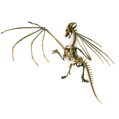 3d render dragon bones fantasy creature