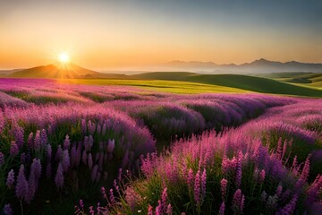 Landscaping sun rise andsun suset in mountains and meadow 