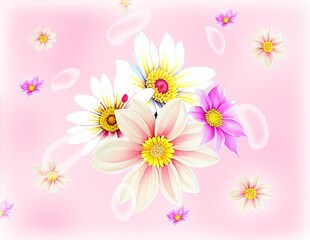 daisy flowers