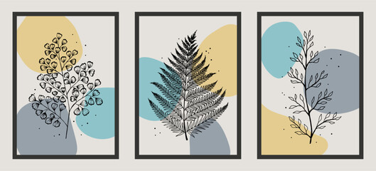 Botanical wall art vector fern set. Abstract Plant Art design for print, cover, wallpaper, Vector illustration. © Любовь Овсянникова