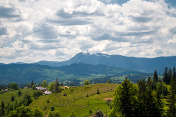 Obraz premium Beautiful Carpathian mountain landscape. Summer in the mountains.