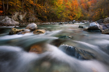 Autunmn in Tanaro Valley