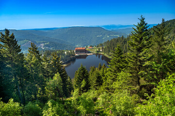 The Mummelsee in the Black Forest surrounded by mountains_Baden-Wuerttemberg, Germany, Europe - obrazy, fototapety, plakaty
