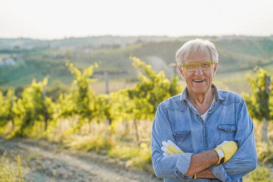 Senior wine producer man smiling in front of camera with vineyard in background - Organic farm and small enviromental business concept - Focus on face