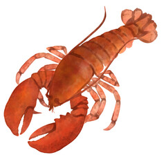 Lobster 02