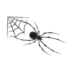 Spider web icon. Simple illustration of spider web vector.