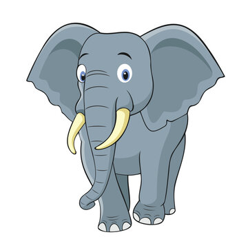 elephant vector illustration cute elephant cartoon isolated on white design