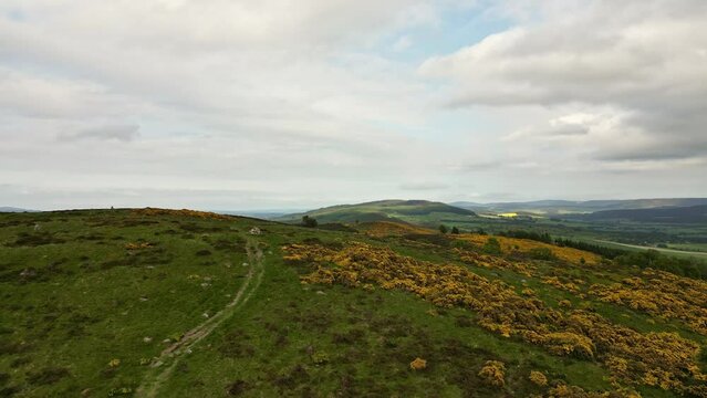 Cinematic aerial over green, yellow hill revealing Scottish landscape