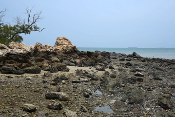 Felsenstrand bei Ebbe