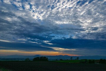 赤川もどきの丘から
