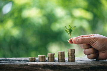 The green plant grow on coin stack is a business growth concept. The hand that is holding coin tree with some natural background is shown the business success in an investment of environmental ecology