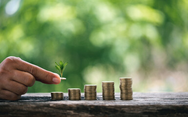 The money coin or money tree is a business growth. The business plant on coins growing with a hand pointing at money on the table. The green environment background business success in economic symbol.