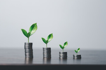 Fototapeta na wymiar The money coin or money tree is a business growth. The business plant on coins growing with a hand pointing at money on the table. The green environment background business success in economic symbol.