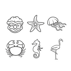 Beach or sea marine animals outlined vector icon set collection isolated on square white background. Simple flat sea marine animal creatures outlined cartoon drawing.