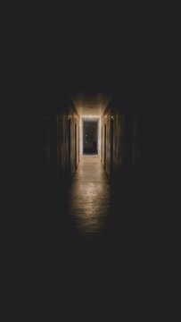 Step into the eerie world of suspense with this captivating photograph. Immerse yourself in the dark corridor adorned with cabinet doors and flickering lights, setting the stage for a chilling atmosph