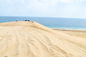 Sand dunes descending into the creek