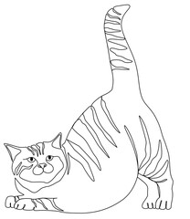 Fat cat line art design vector illustration